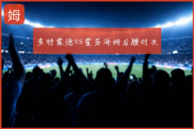 多特蒙德vs霍芬海姆后腰对决
